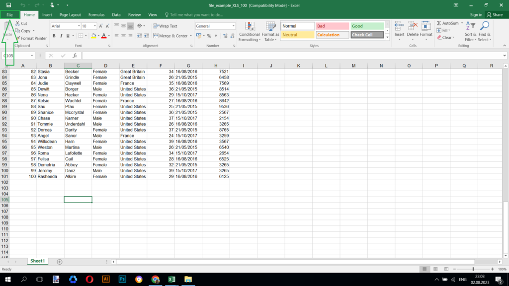 File menu in Excel